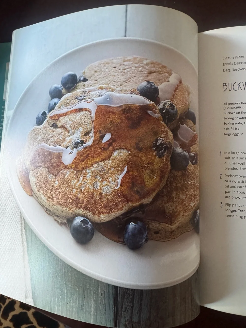Williams Sonoma Healthy in a Hurry Cookbook - over 100 recipes lots of photos